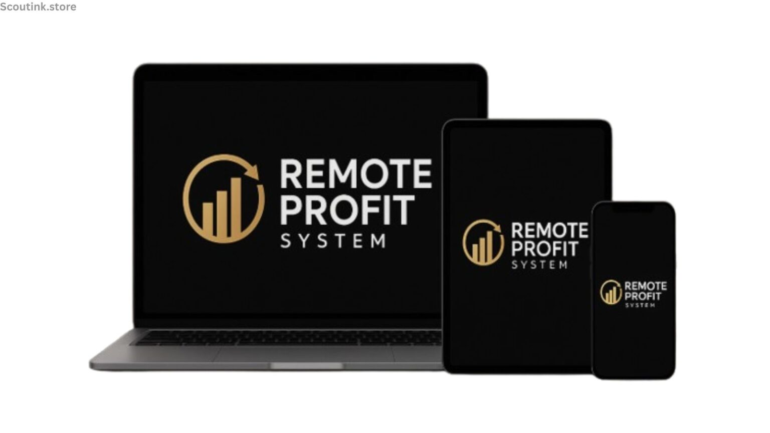 Remote Profit System Review 2025